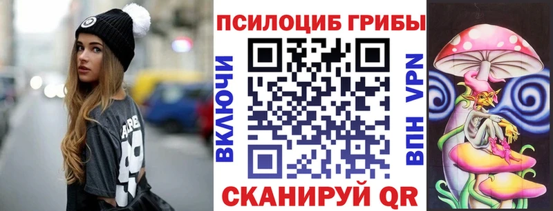Купить где  Строитель  Псилоцибиновые грибы мицелий 